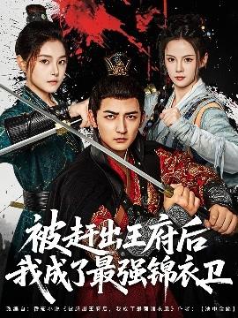 被赶出王府后我成了最强锦衣卫