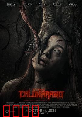 候选人阿兰的诅咒