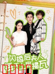 闪婚后夫人每天上房揭瓦