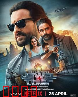 珠宝大盗：神偷出马