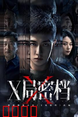 X局密档