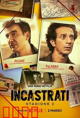 冤枉啊！西西里谋杀疑案 第二季