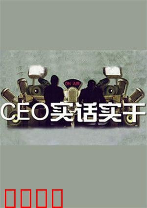CEO实话实干