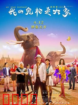 我的宠物是大象