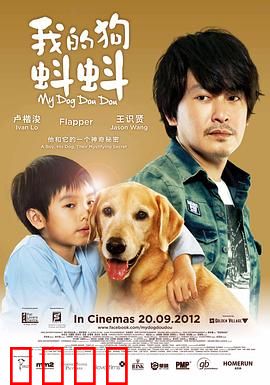 我的狗蚪蚪