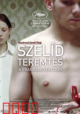 弗兰肯斯坦计划