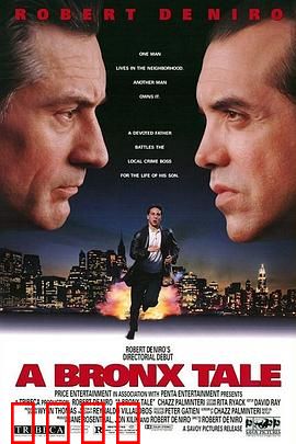 布朗克斯的故事