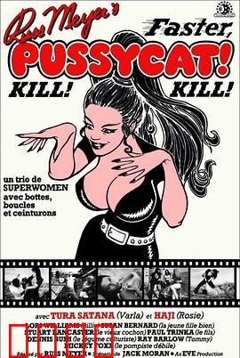 小野猫公路历险记