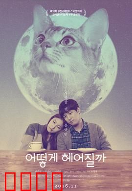 如何与我的猫分手