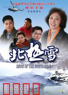 北极雪