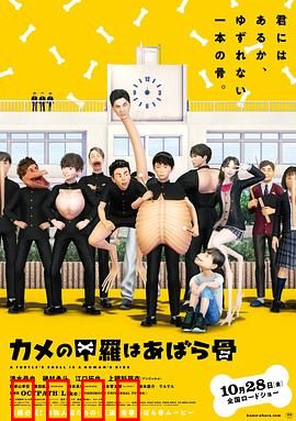 乌龟的壳其实是肋骨