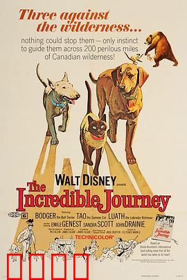 一猫二狗三分亲