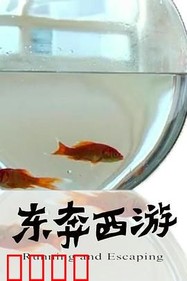 11度青春之《东奔西游》