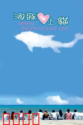 海豚爱上猫