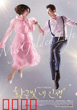 我黄金光辉的人生