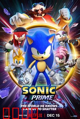 索尼克：回家大冒险