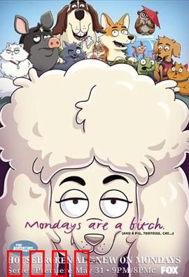 宠宝话疗团第一季