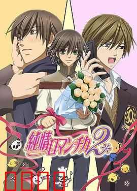 纯情罗曼史第二季