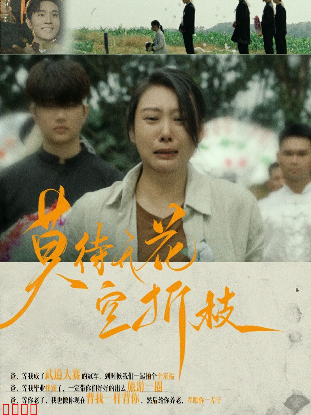 莫待无花空折枝