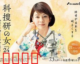 科搜研之女 第24季