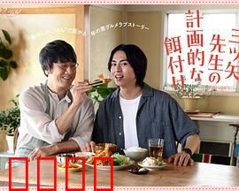 三矢老师的计划式投喂