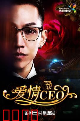 爱情CEO