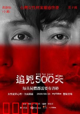 追凶500天