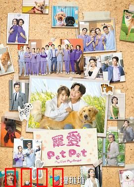 宠爱PetPet粤语