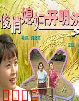 俊俏媳妇开明婆