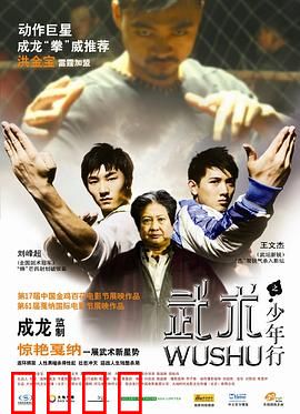 武术之少年行