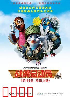 战鸽总动员