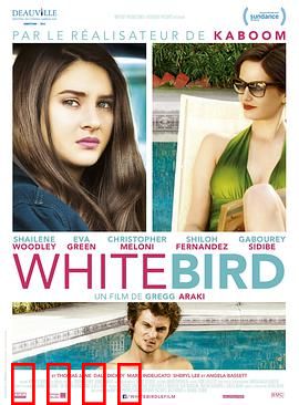 暴风雪中的白鸟