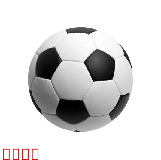 4月3日 23-24赛季英超第31轮 纽卡斯尔VS埃弗顿