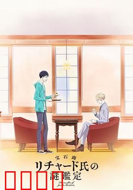 宝石商人理查德的谜鉴定