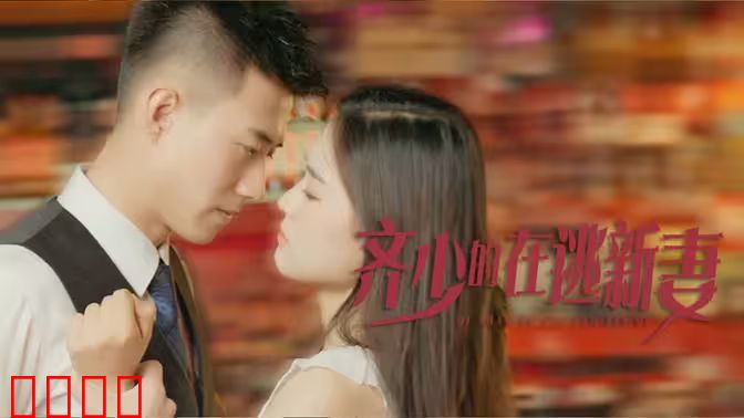 齐少的在逃新妻