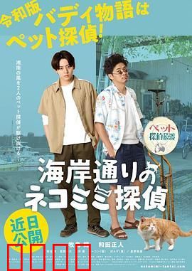 海岸大街上的猫咪侦探