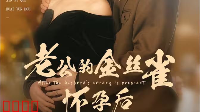 老公的金丝雀怀孕后