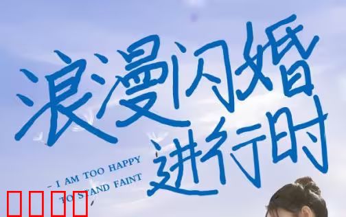 浪漫闪婚进行时