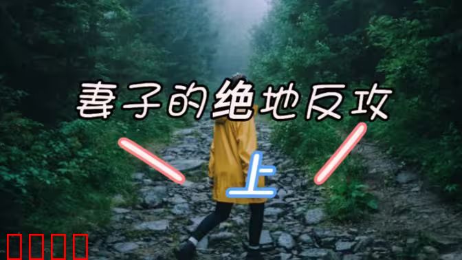 妻子的绝地反攻