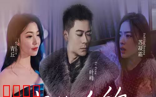 我的合约总裁未婚妻