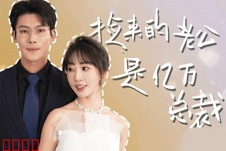 捡来的老公是亿万总裁