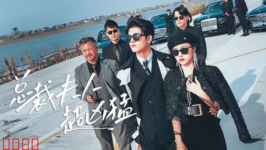 总裁夫人超凶猛