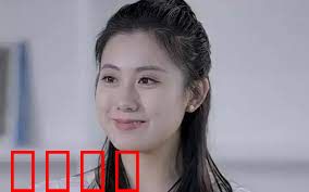 报告总裁，夫人婚前要实习