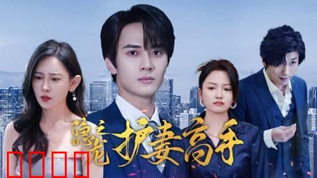 隐龙之护妻高手