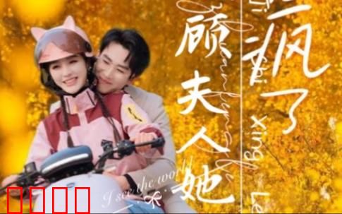 顾总夫人她赚疯了