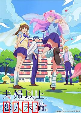 夫妇以上，恋人未满