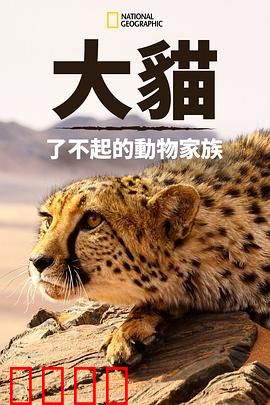 猫科动物：奇妙的动物家族