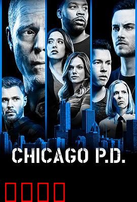 芝加哥警署 第六季
