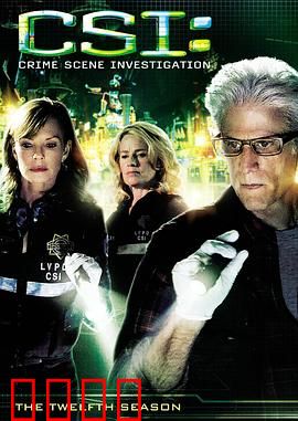 犯罪现场调查 第十二季