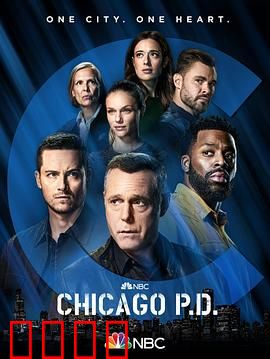 芝加哥警署 第九季